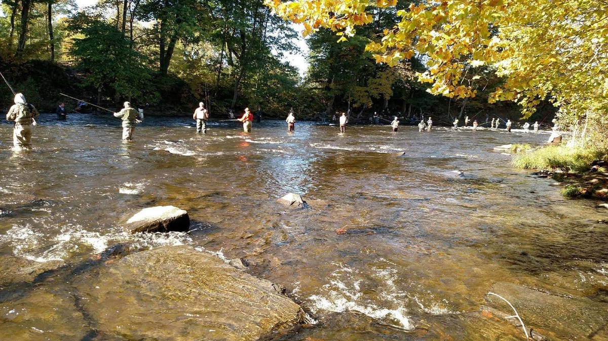 Anglers fishing a steelhead river run